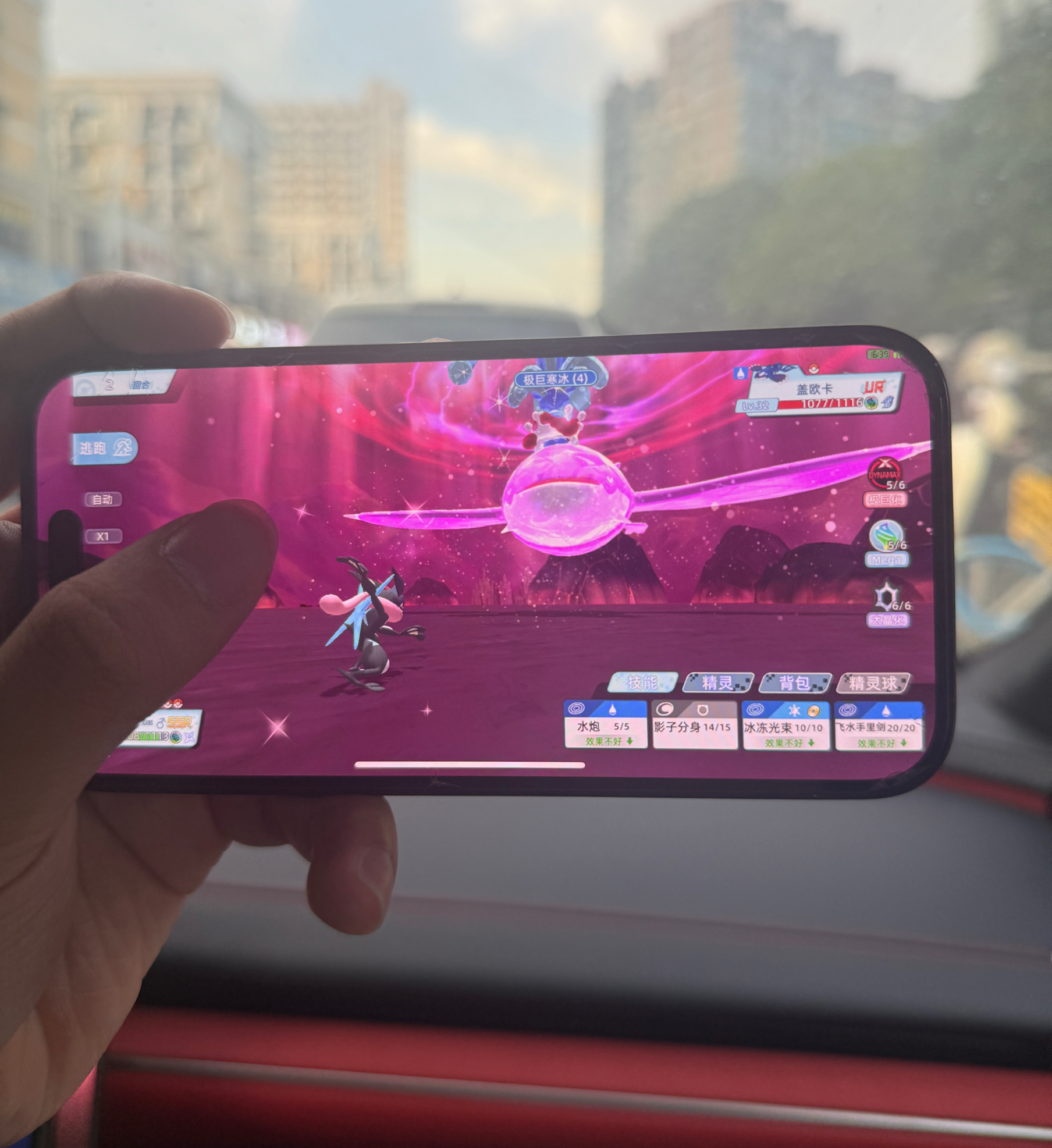 全新Pokemon之甲贺忍蛙