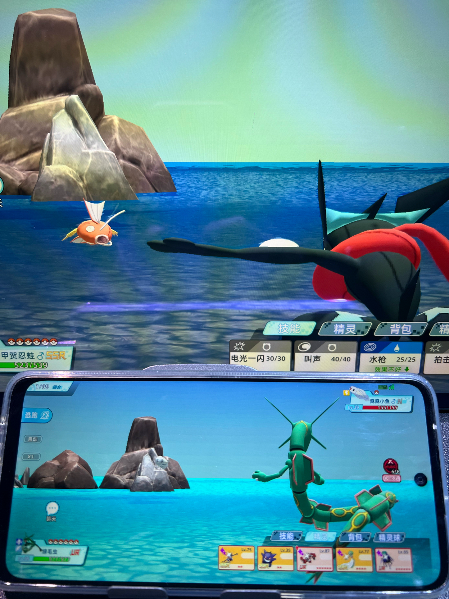 全新宝可梦手游来啦