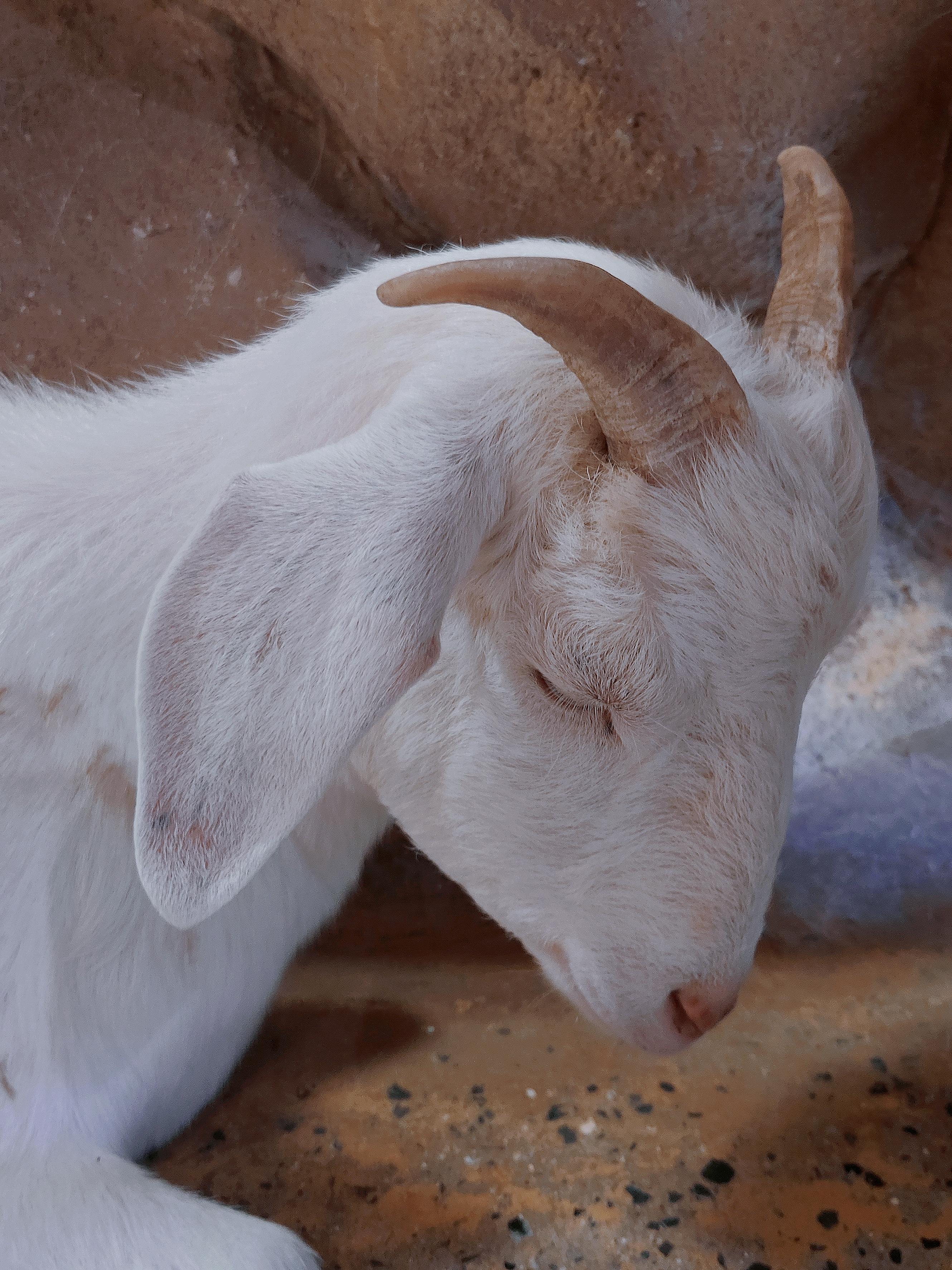 几点建议（会更新，咩咩镇楼）