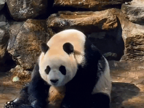 周年庆典兑换码持续更新