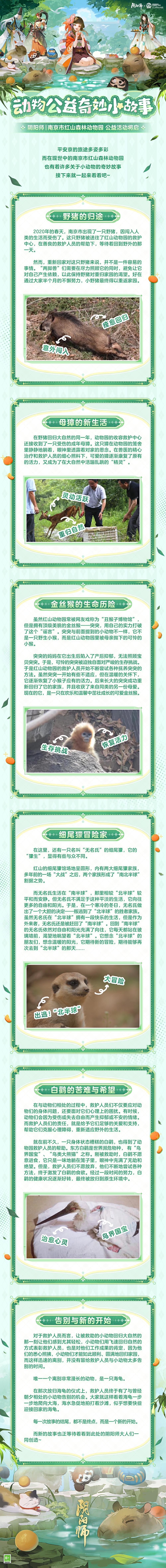 ☆毛绒绒的奇妙公益故事！☆