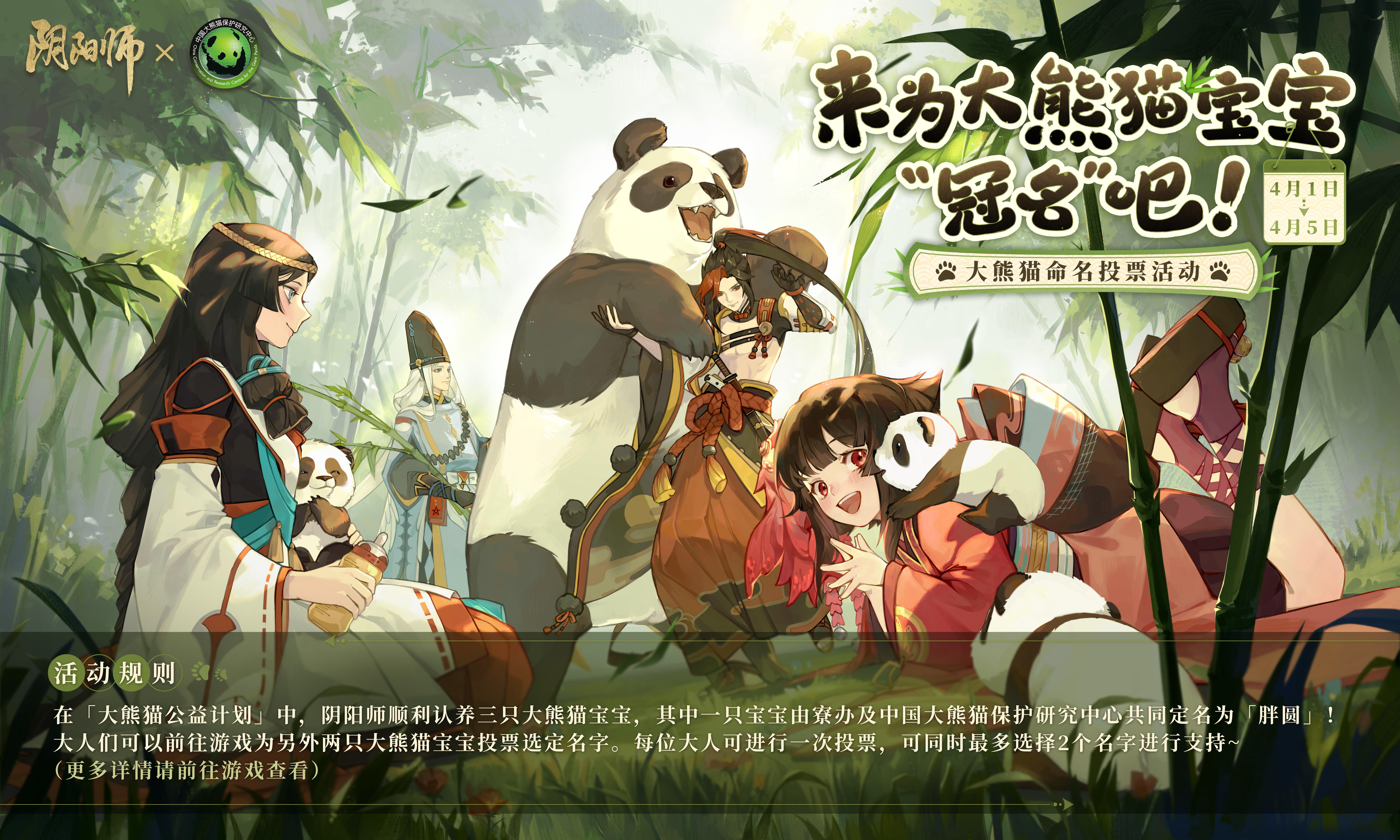 ☆来为大熊猫宝宝“冠名”！☆