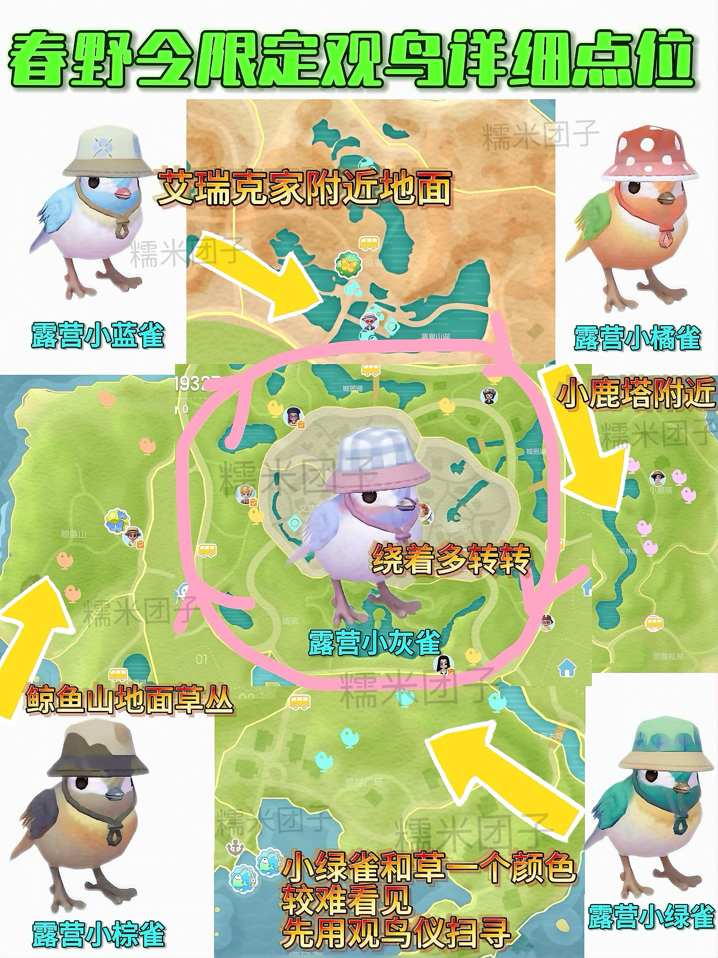 春野令限定鸟详细点位分享截图