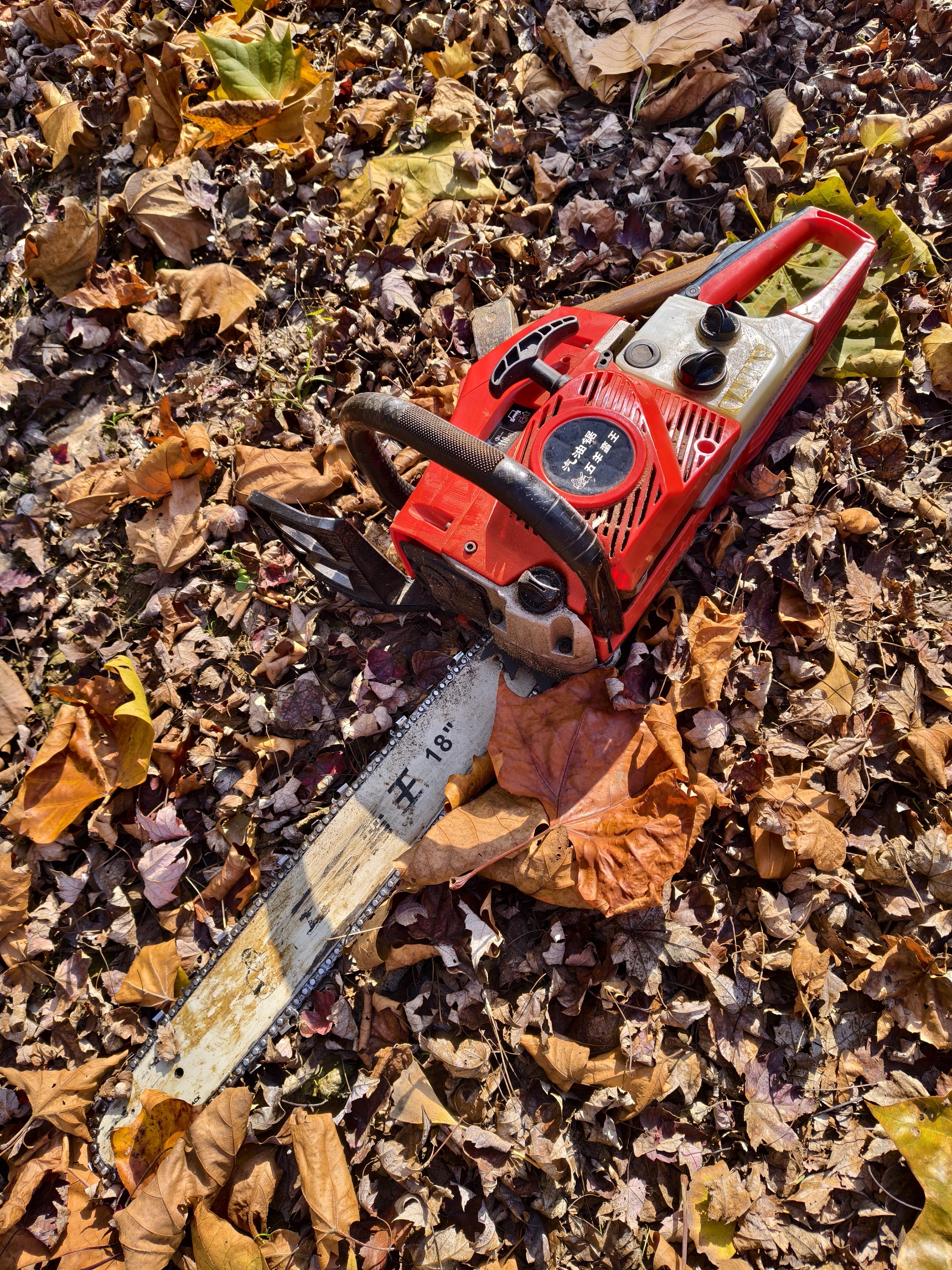 在田地里cos光头强（bushi）