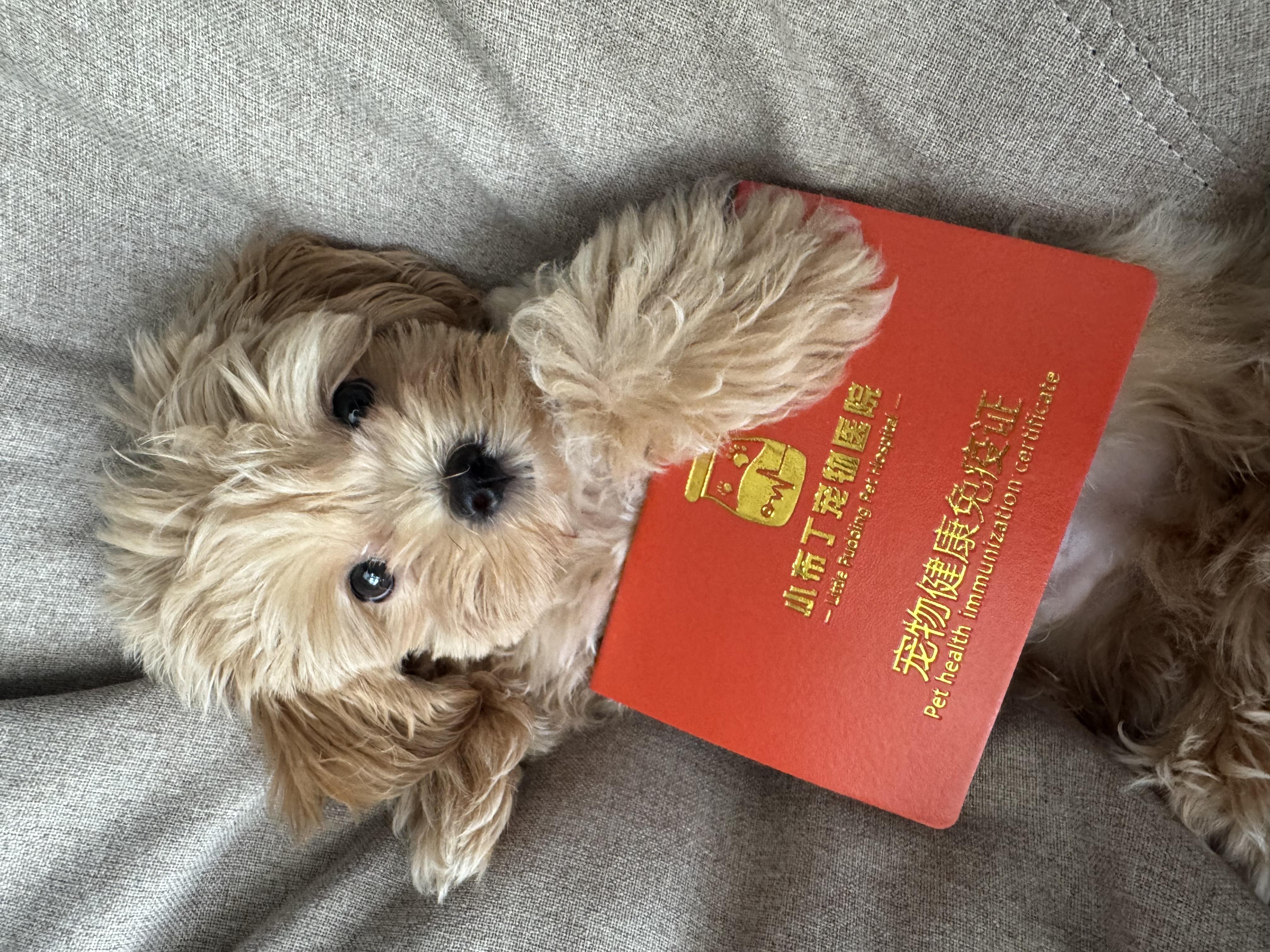 内测玩家简易攻略，28日10点建添加就能绑