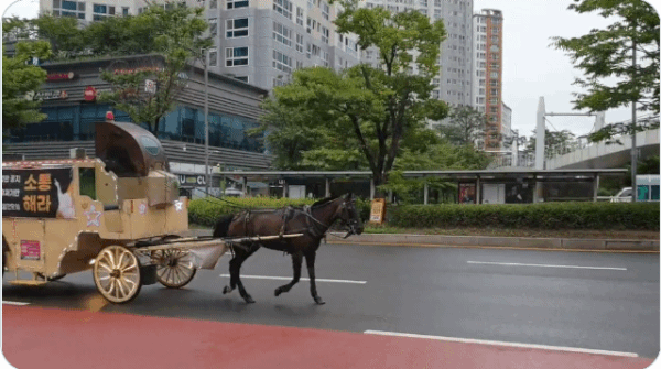 因不滿《賽馬娘》手遊發行商，韓國玩家拉著馬車走上街頭|賽馬娘 Pretty Derby - 第1張