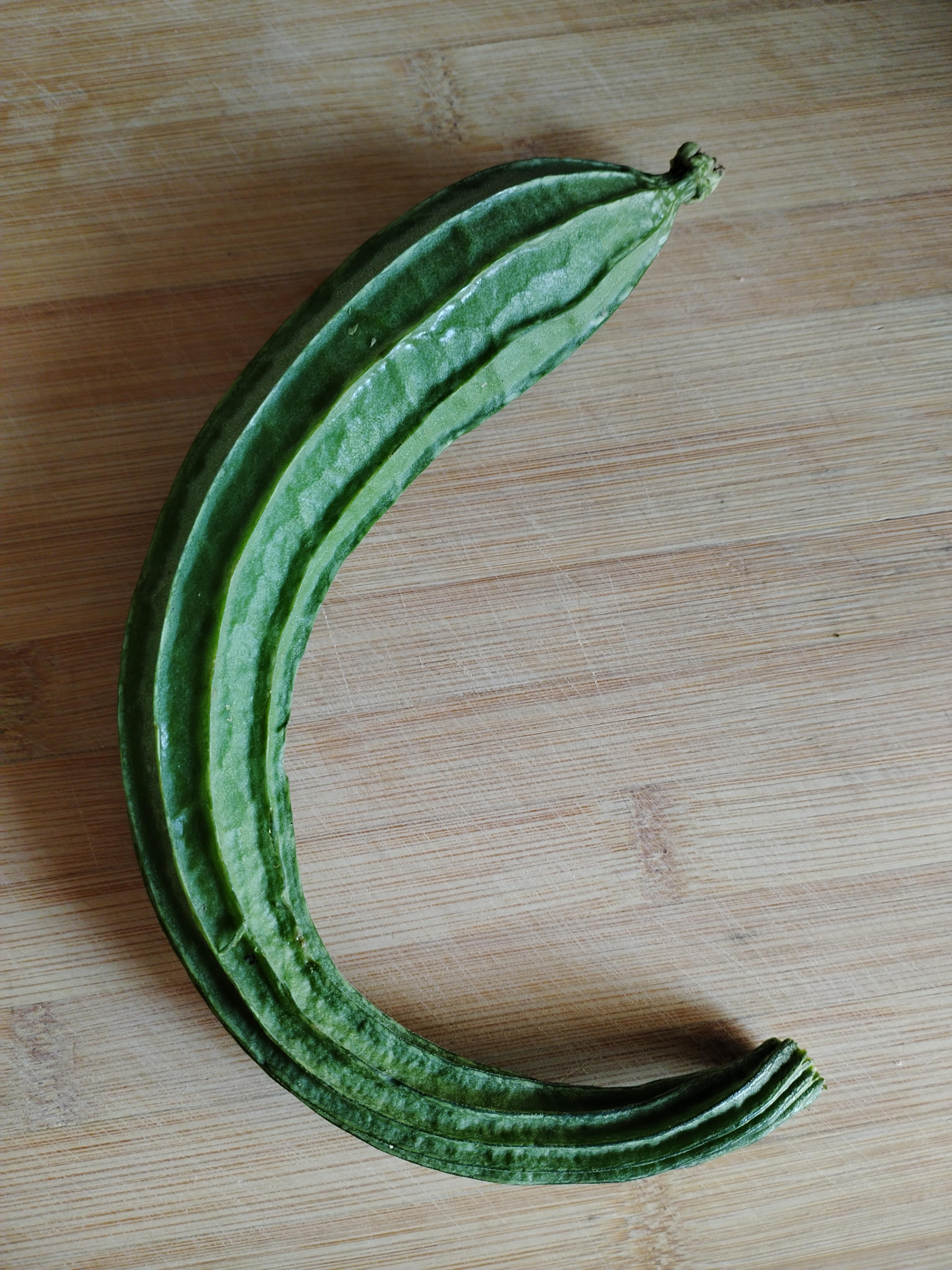 丰收时间到！丝瓜来啦！