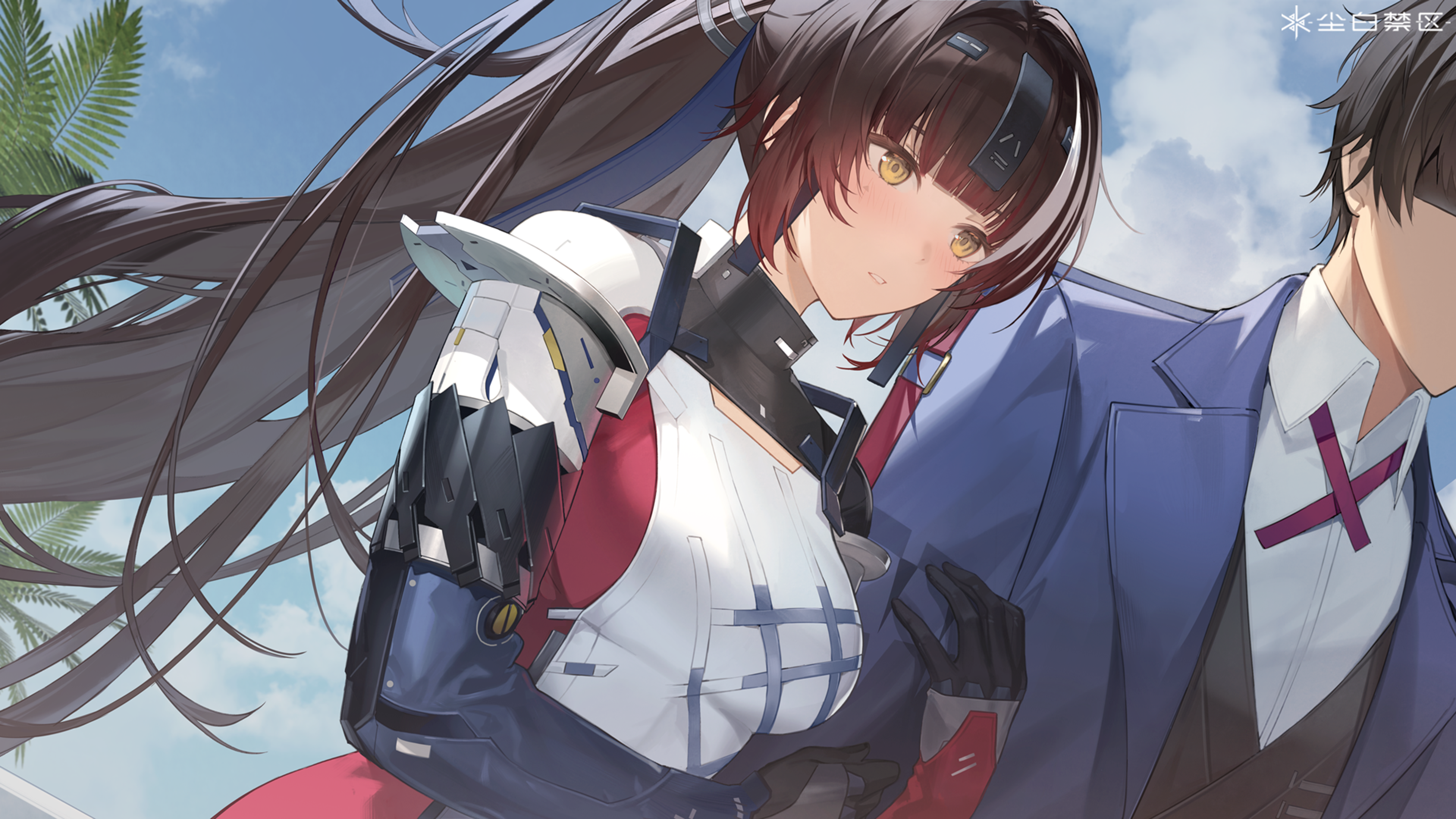 「壁纸放送-同行夙愿」