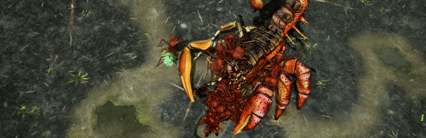 【我的百分之一】【吾即是虫群，评《地下蚁国》】