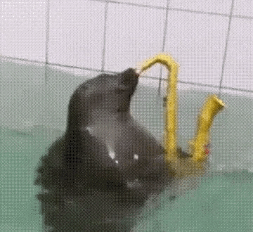 10月 前中期首充微氪钻石消耗攻略