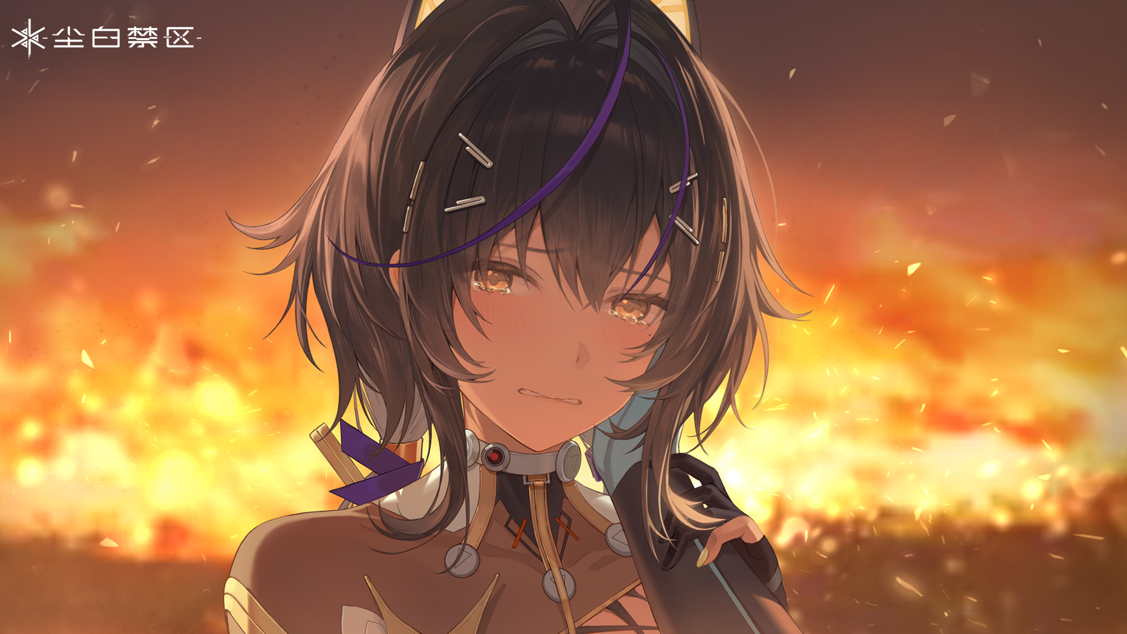 「壁纸放送-伶仃私心」