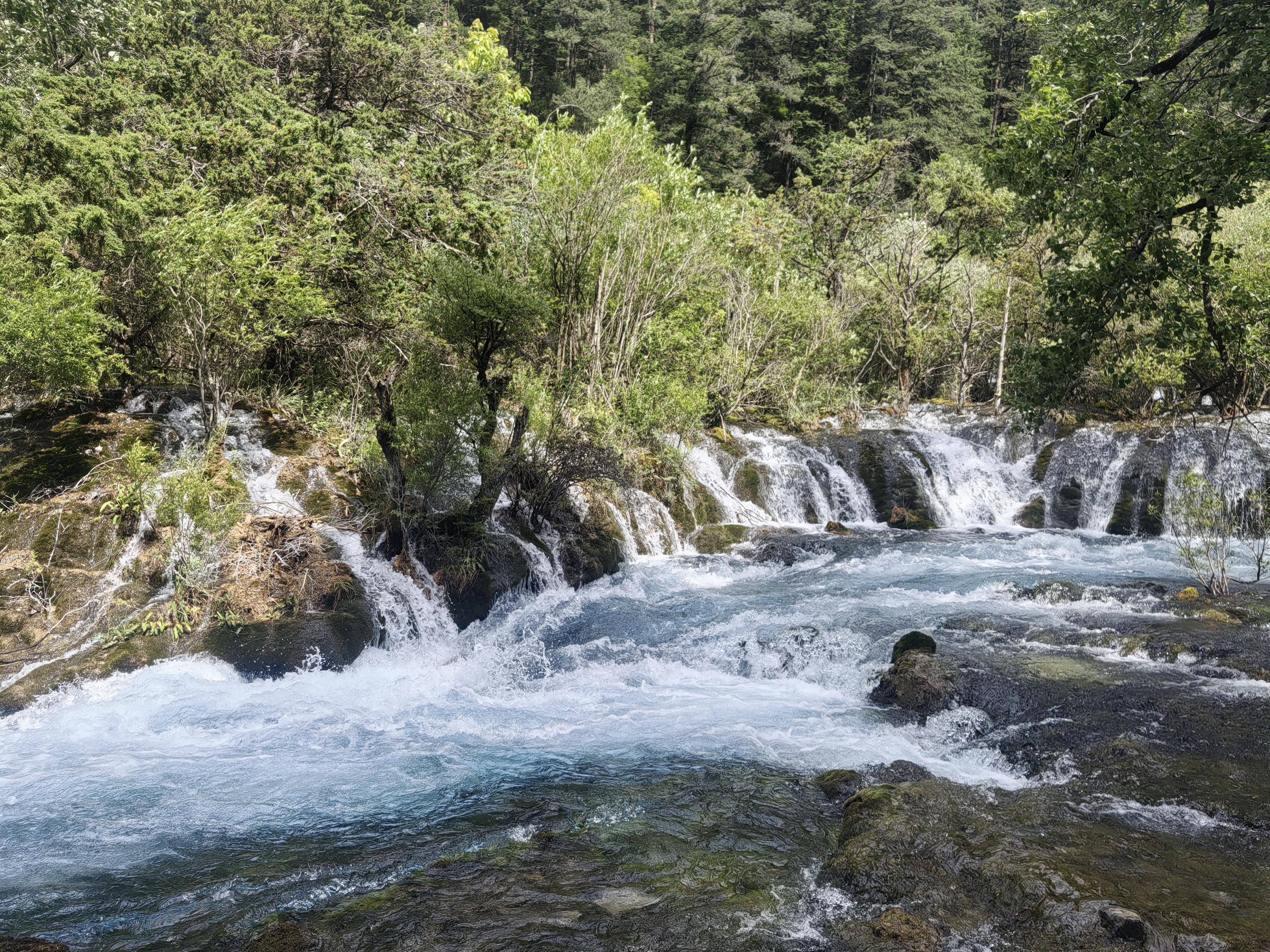 这游戏加不了官群怎么办！截图