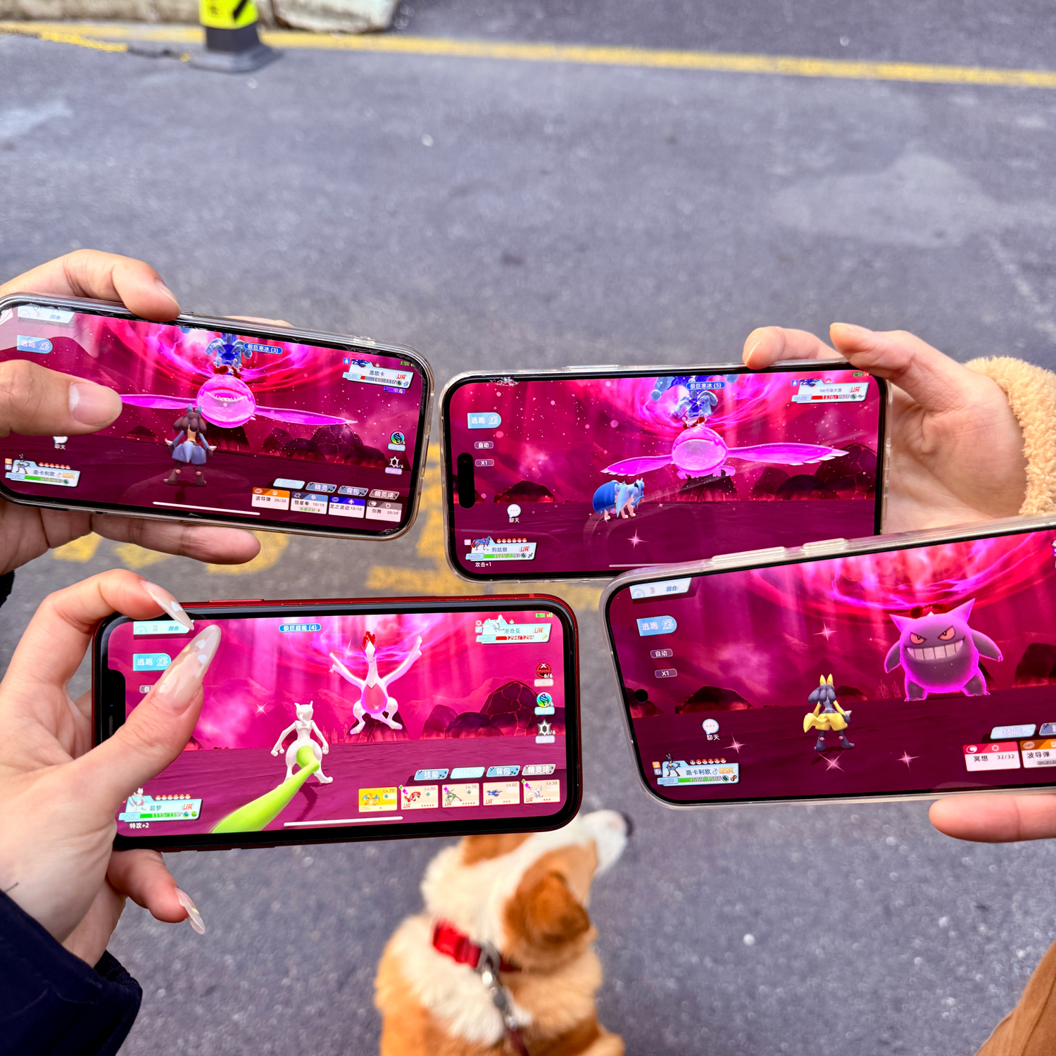 元旦节全新刚上线的宝可梦手游终于来了！