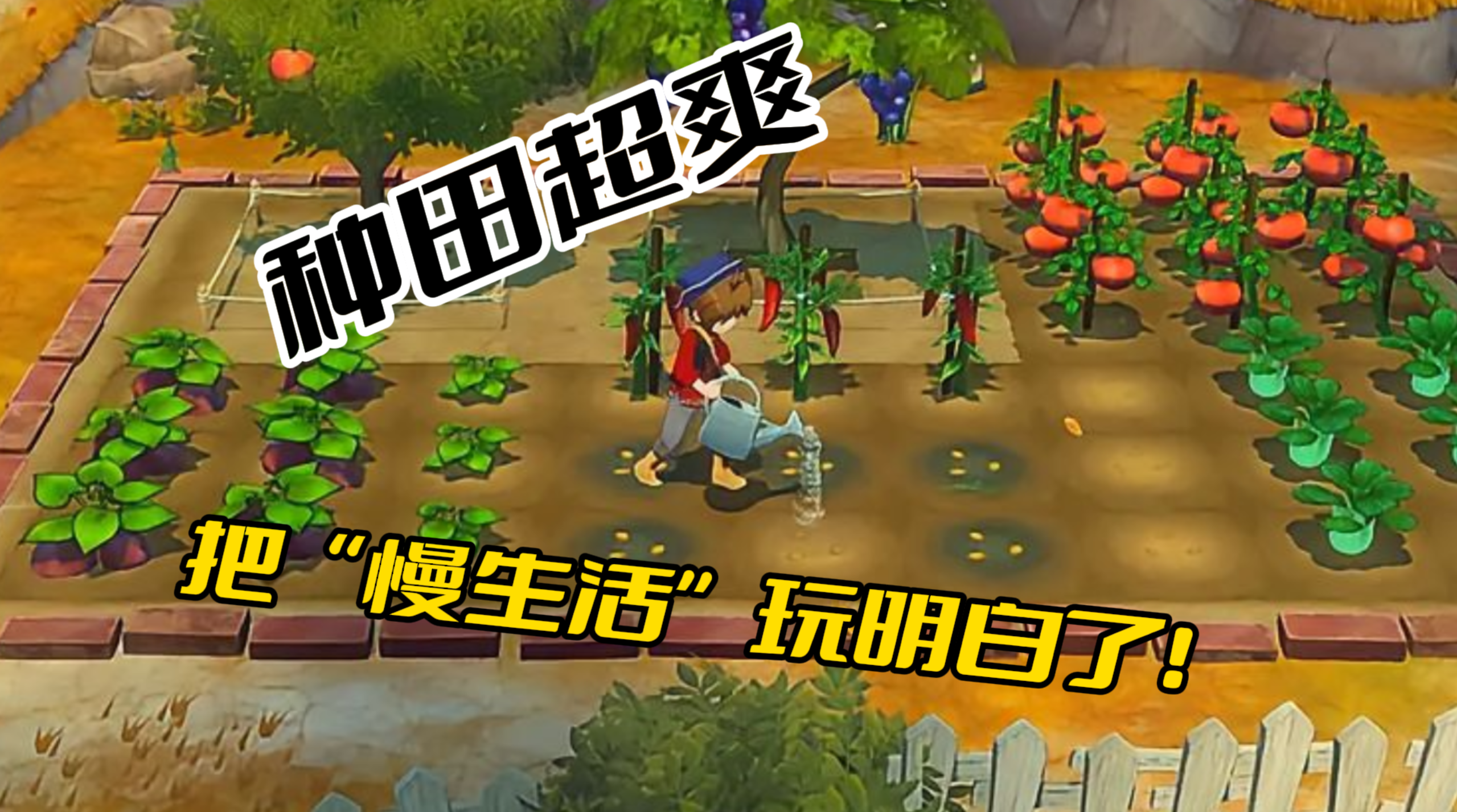 《牧场物语繁华集市》种田超爽！但体力条限制太反人类截图