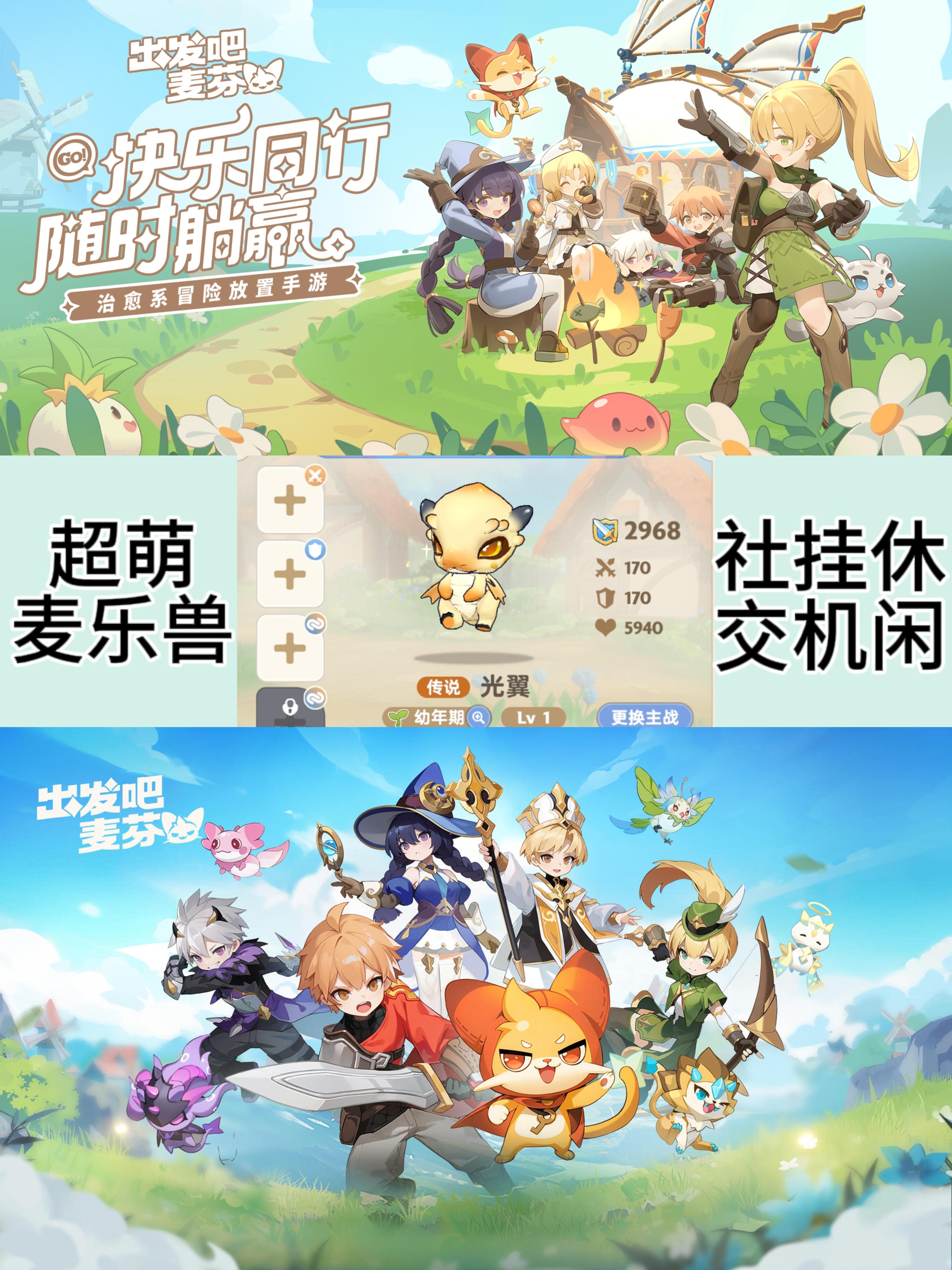 麦乐兽首选魔魔狗💖，七点心得