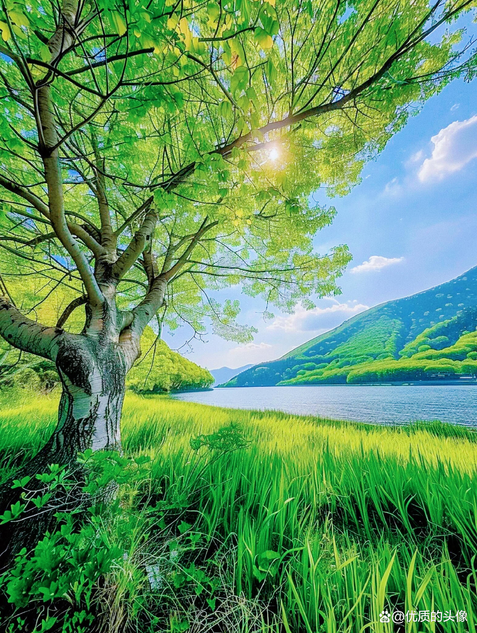 （封面无关）1月10日，官15渠3日车车发布