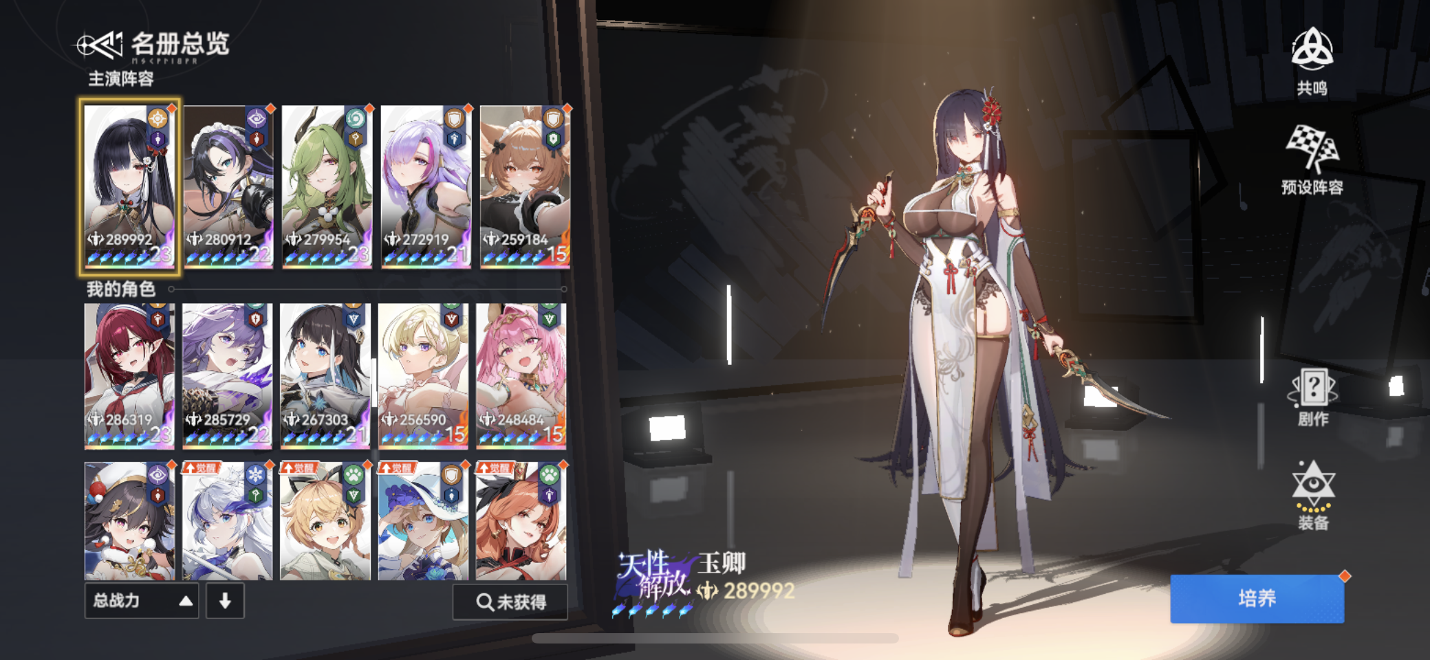 给新手一些配队建议