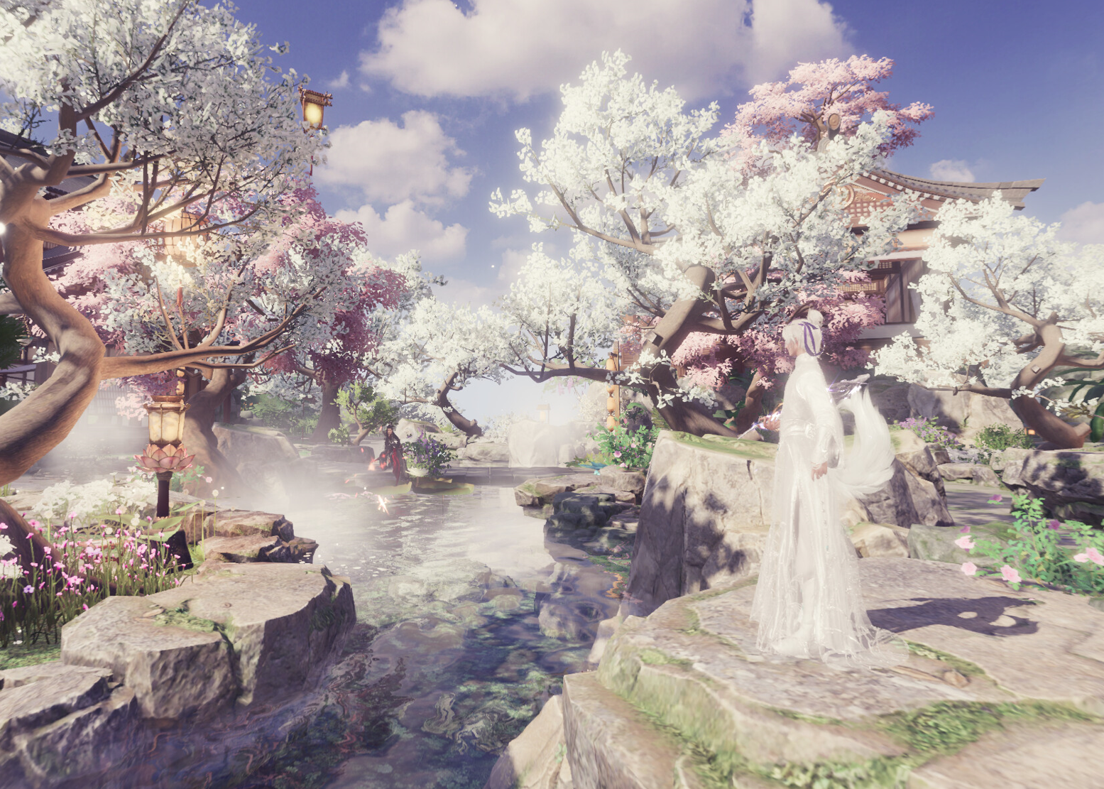 我也收到了徒徒的大红花和皇竹草，望周知