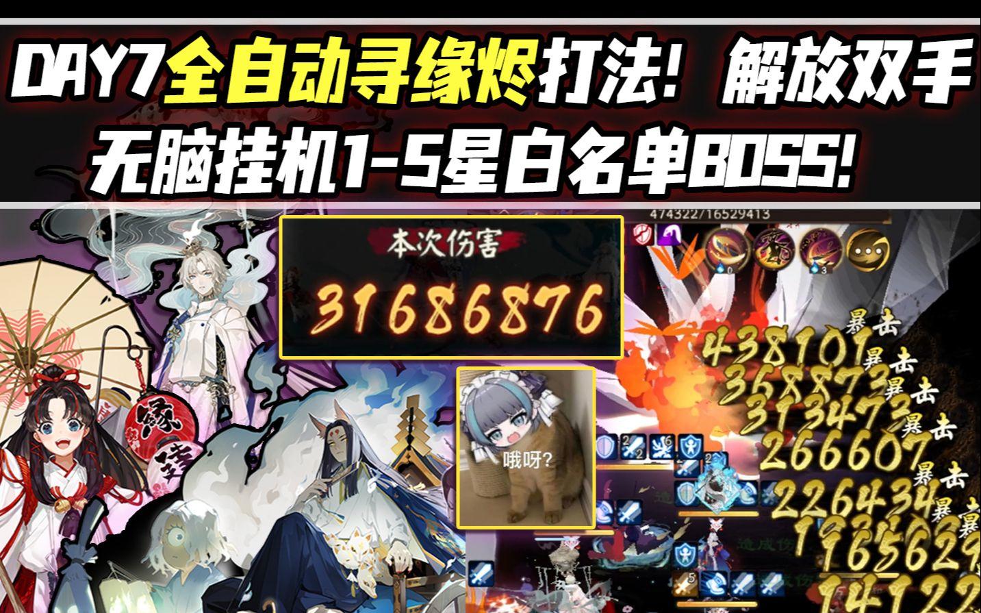 【阴阳师/超鬼王】DAY7全自动寻缘烬打法！解放双手，无脑挂机1-5星白名单BOSS！截图