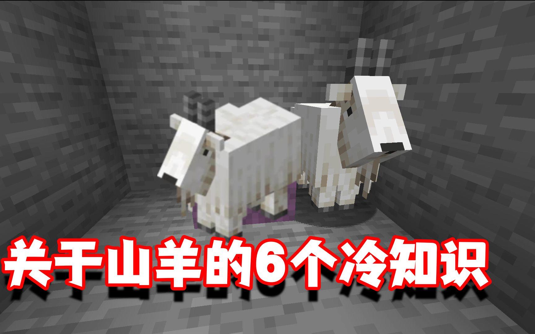 我的世界冷知识：关于山羊6个你不一定知道的冷知识