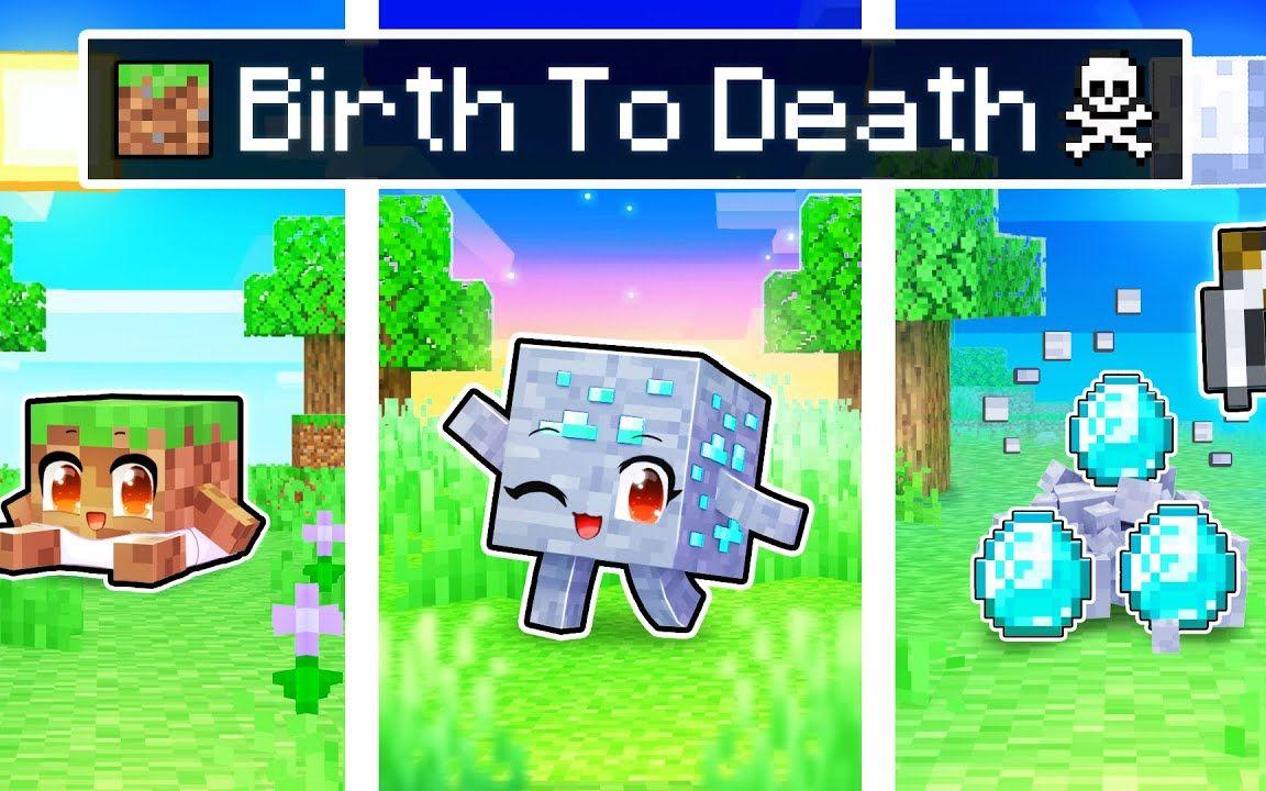 【Aphmau】我的世界|小方块的一生BIRTH To DEATH of a Minecraft BLOCK!