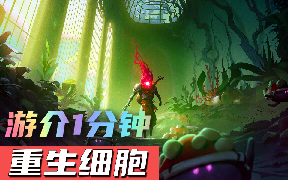 1分钟了解重生细胞