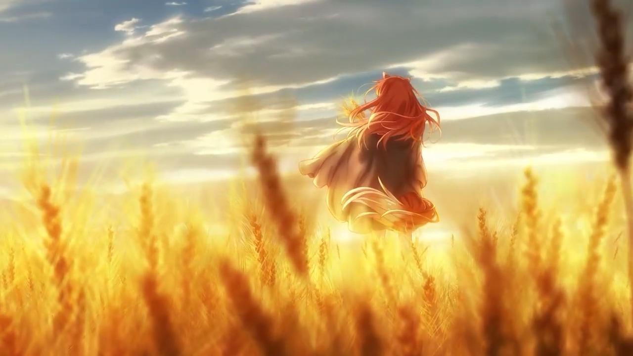 『狼と香辛料』完全新作アニメ制作決定！