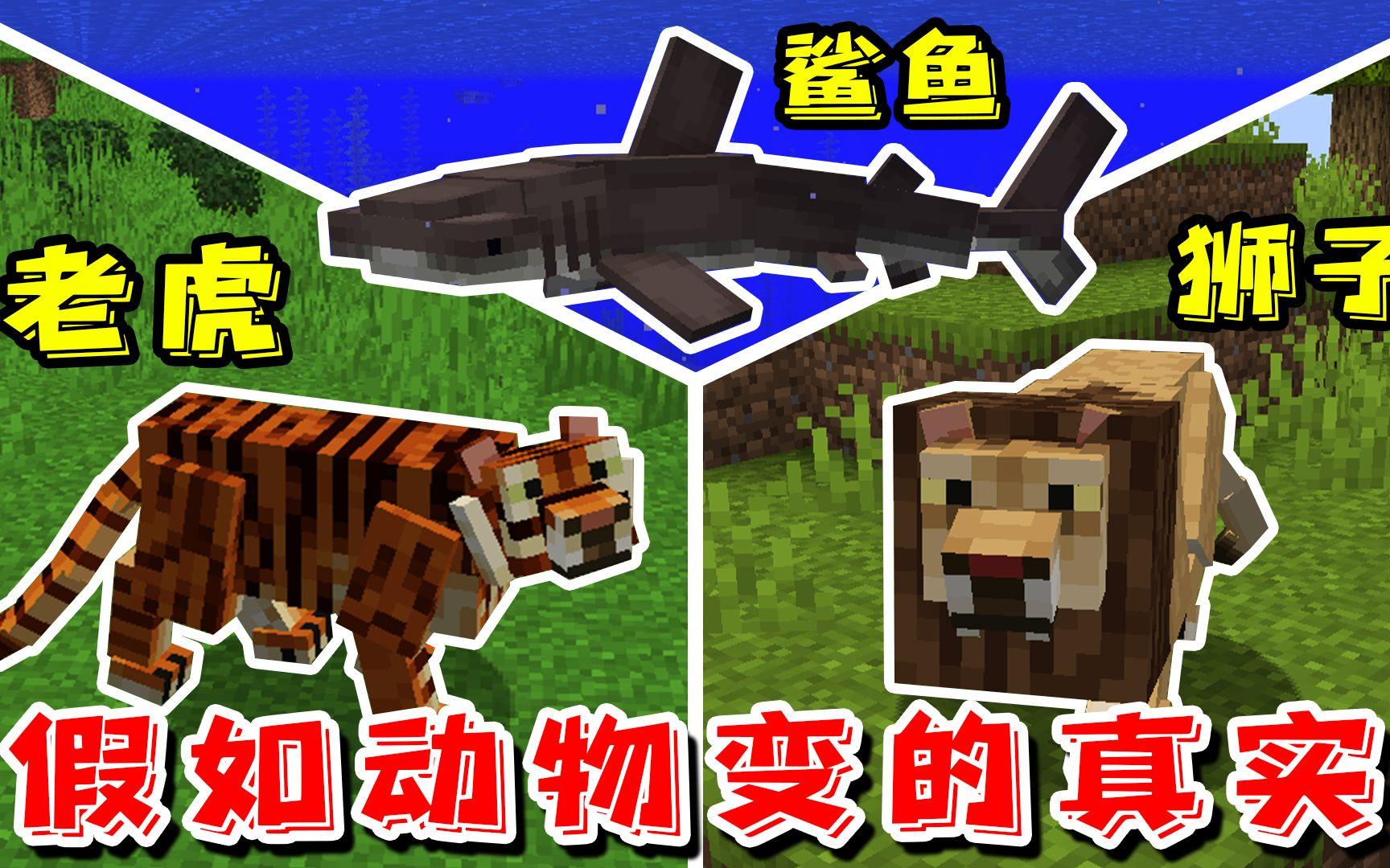 ❤️我的世界❤️假如MC的动物变的真实，每种生物都有独特习性！