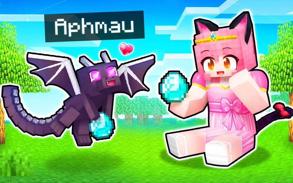 【Aphmau】我的世界|用7个龙精灵恶搞你的朋友们7 Baby DRAGON Pranks To Trick Your FRIENDS!