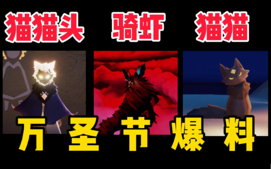 【光遇】骑虾/猫猫服饰/炸毛猫！万圣节猫咪主题来袭？万圣节内容全爆料！（更新中）