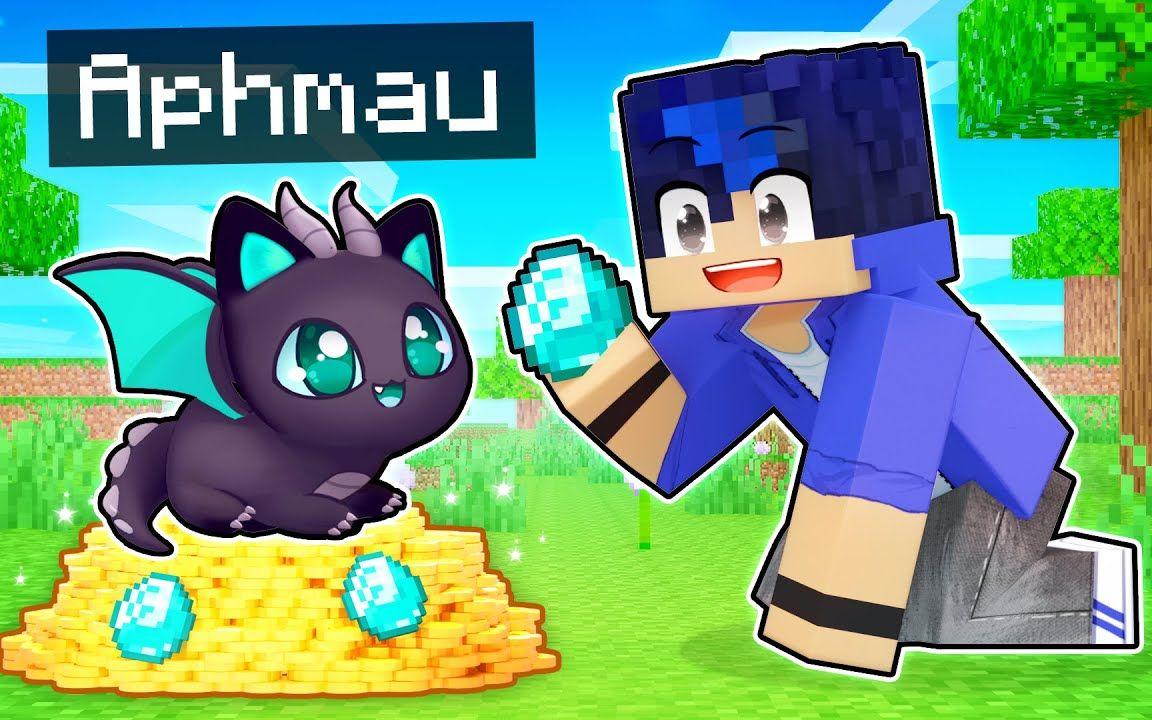 【Aphmau】我的世界|小猫龙Playing Minecraft as a LOYAL Dragon Kitten!