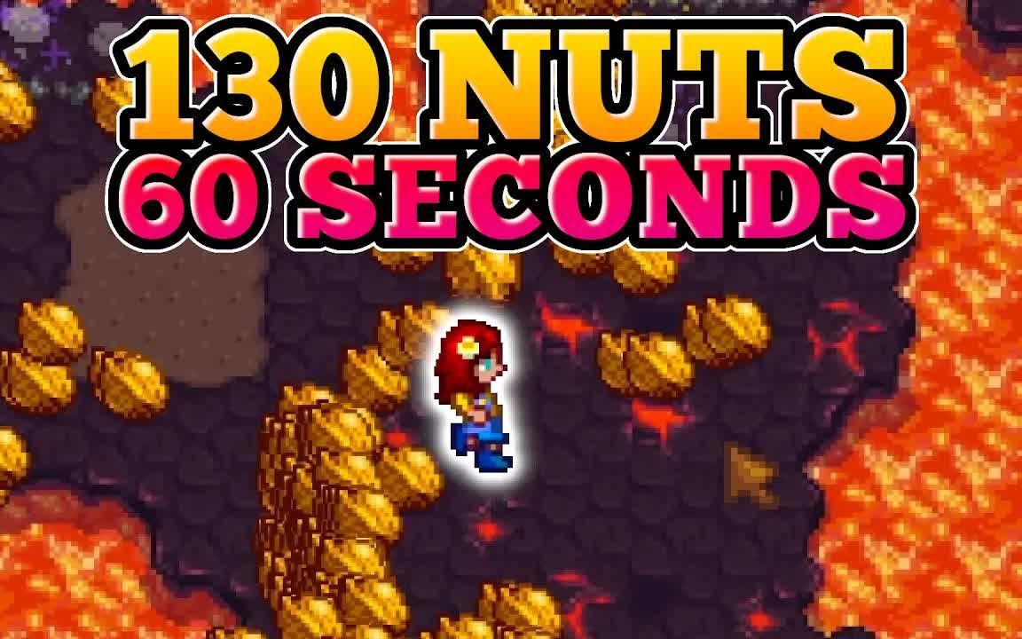 【搬运】星露谷 130 Golden Wallnuts In 60 Seconds by ezlilyy