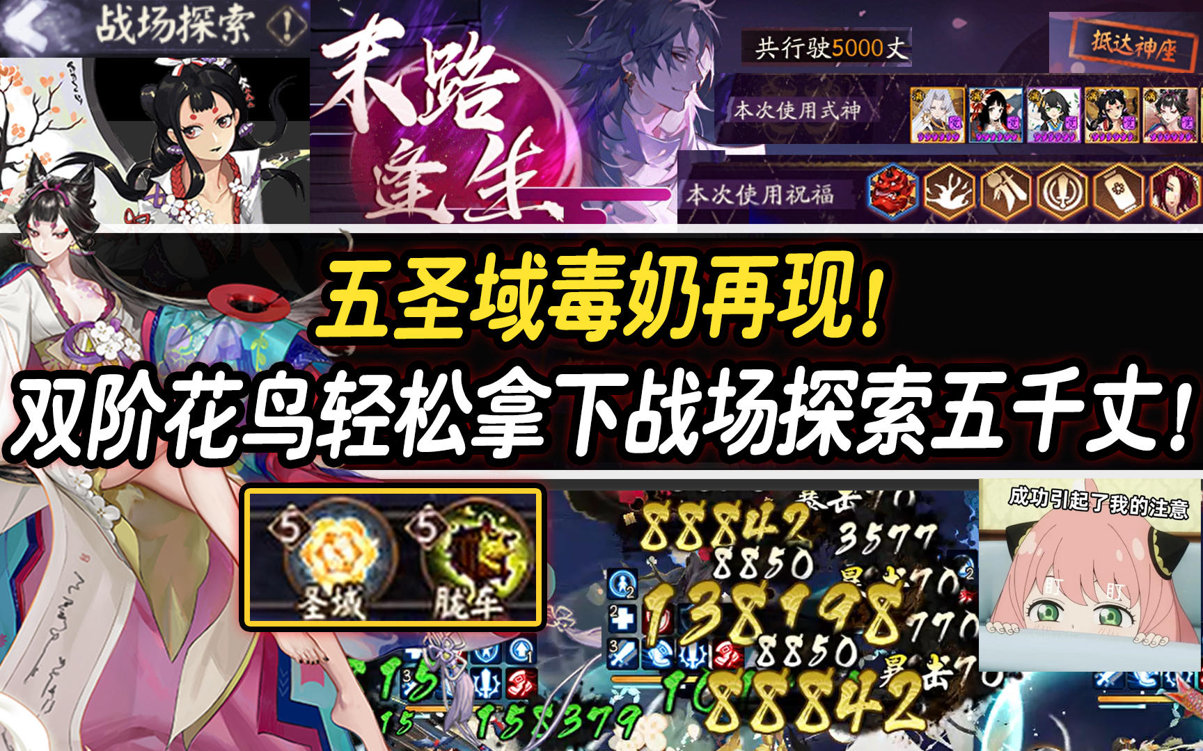 【阴阳师/终焉降临】五圣域毒奶再现！双阶花鸟轻松拿下战场探索5000丈！截图