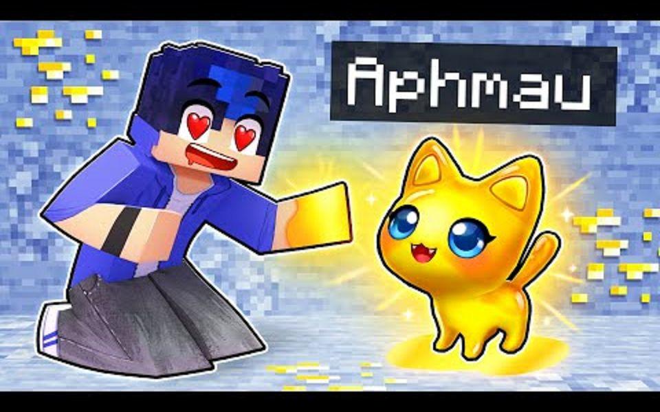 【Aphmau】我的世界|小金猫Playing Minecraft as a HELPFUL Golden Kitten!