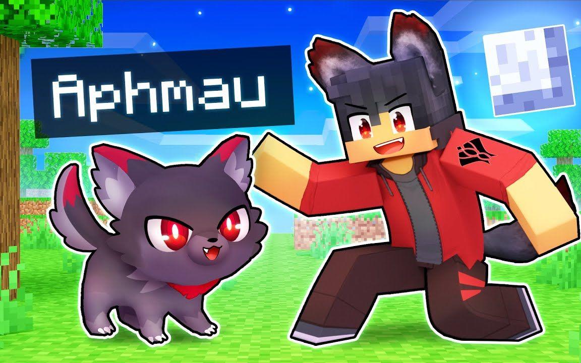 【Aphmau】我的世界|小狼人猫咪Playing As A LOYAL Werewolf KITTEN In Minecraft!