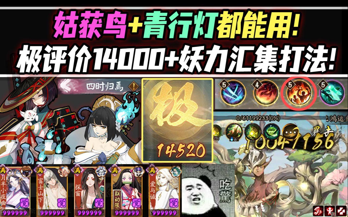 【阴阳师/六道之门】战神鸟姐归来！极评分14000+『妖力汇集』打法分享！（SSR灯也适用）截图