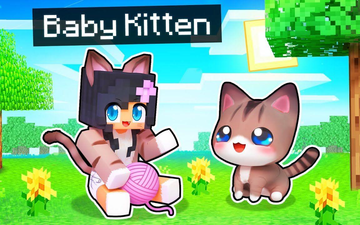 【Aphmau】我的世界|扮演一只小猫咪Playing as a BABY KITTEN In Minecraft!