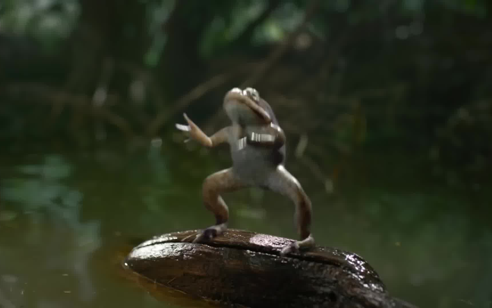 每天一遍 防止抑郁截图