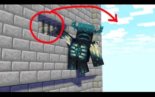 【搬运】Prison Escape Warden,Witch and Pillager丨我的世界动画