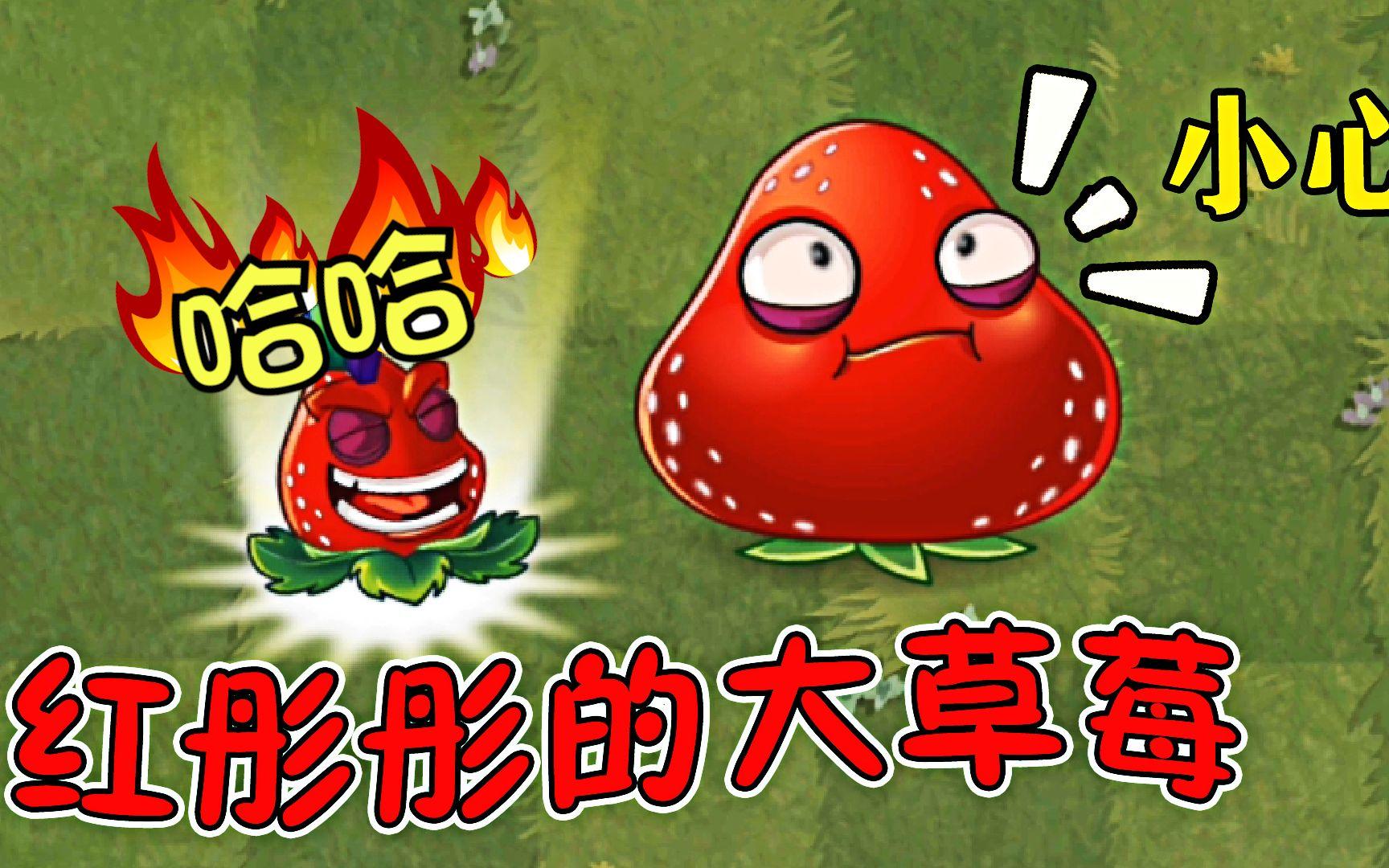 小鬼僵尸：大家快看，红彤彤的大草莓