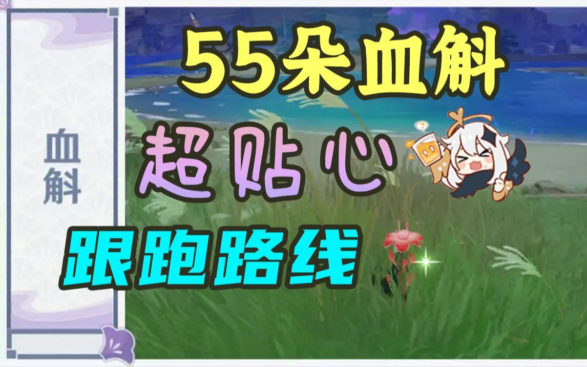 【原神】55朵血斛采集路线~超贴心！