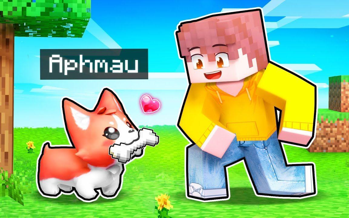【Aphmau】我的世界|小狗精灵帮助你的朋友们5 Minecraft Puppy PRANKS To Help Your FRIENDS!