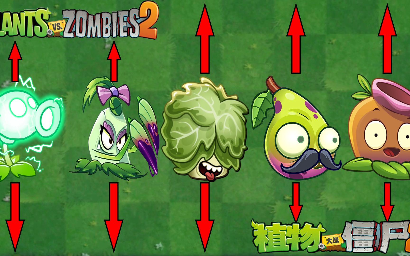 Pvz2 盘点五大移植就变弱的植物！