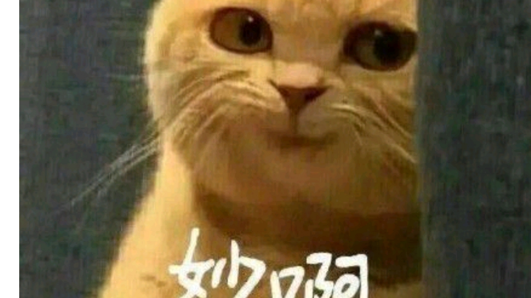 bgm超好听，不好听你锤我😻