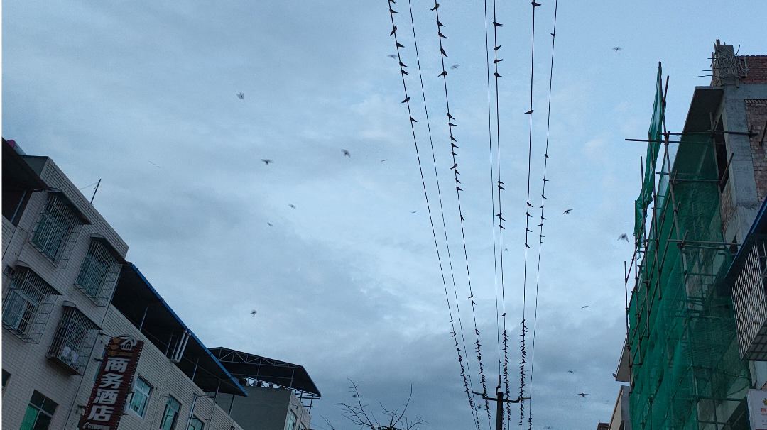 不会跳射花翎 忘了名字的图合集