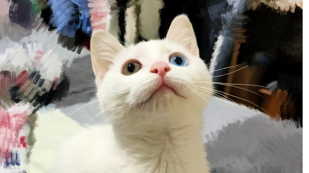 花翎  十字图击杀合集