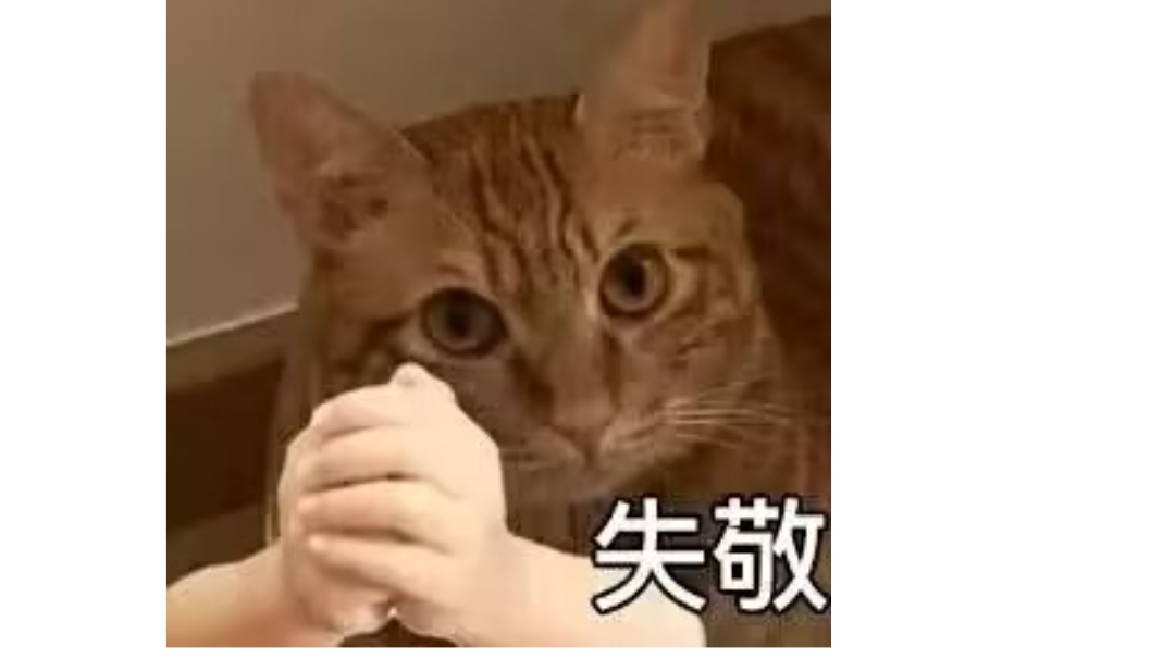 天下武功，唯快不破截图