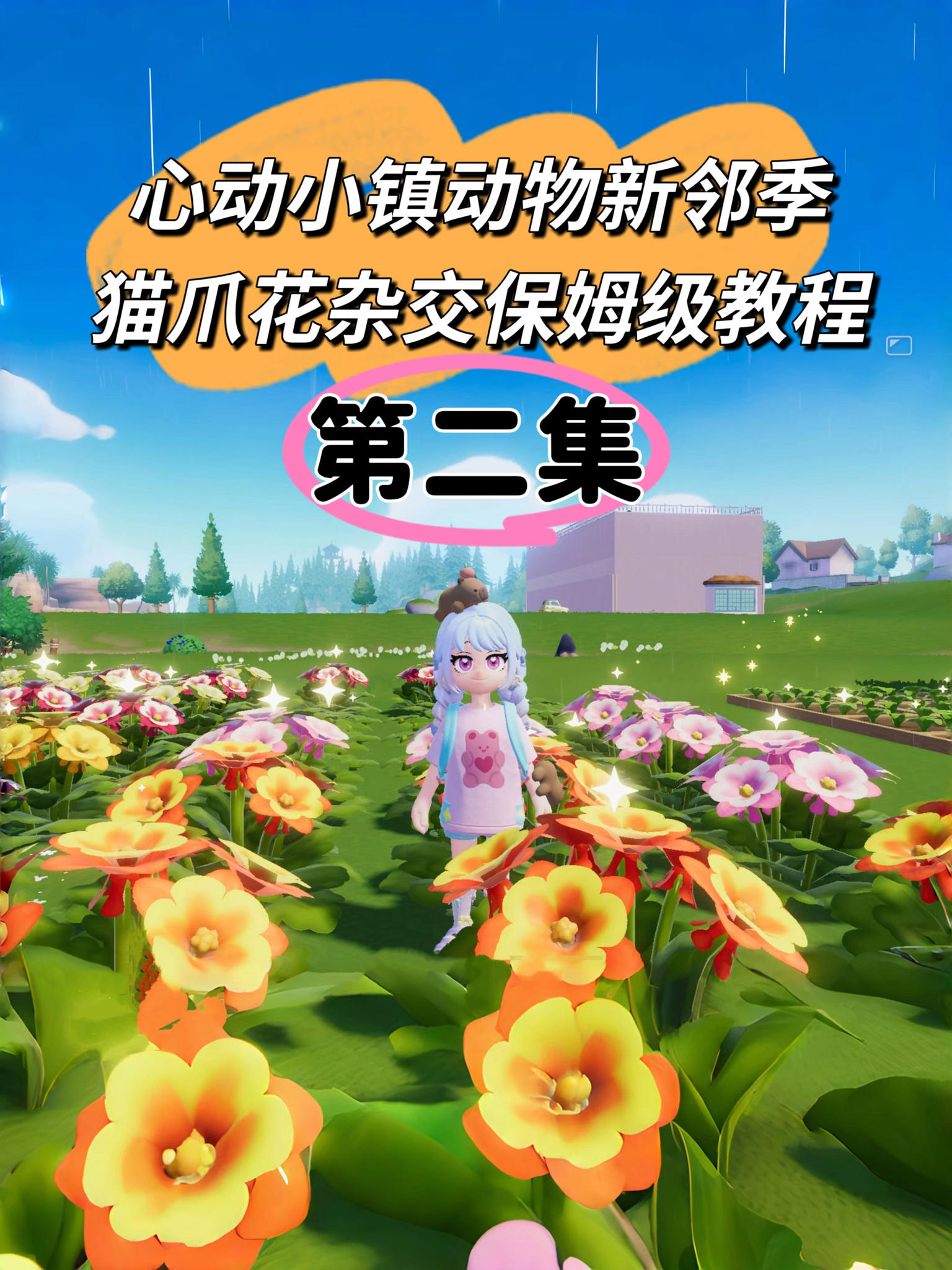 动物新邻季猫爪花杂交保姆级教程第二集来啦