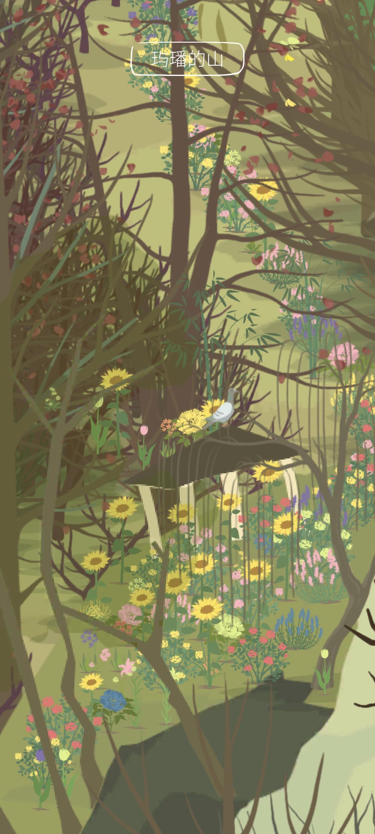 种半仙太阳花方法