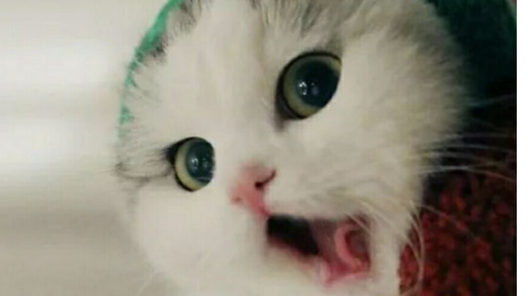 游戏视频～上仙界一段时间了